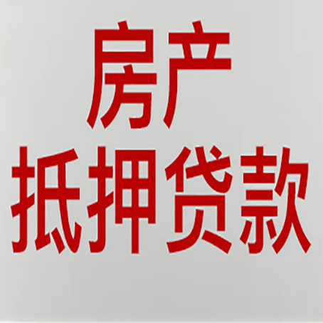 肥东贷款中介公司新渝启服能力强